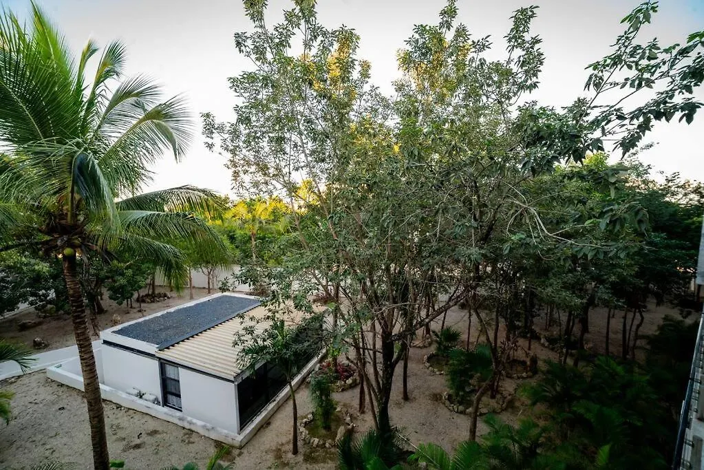 Luxury Penthouse - Panoramic Apartment Tulum